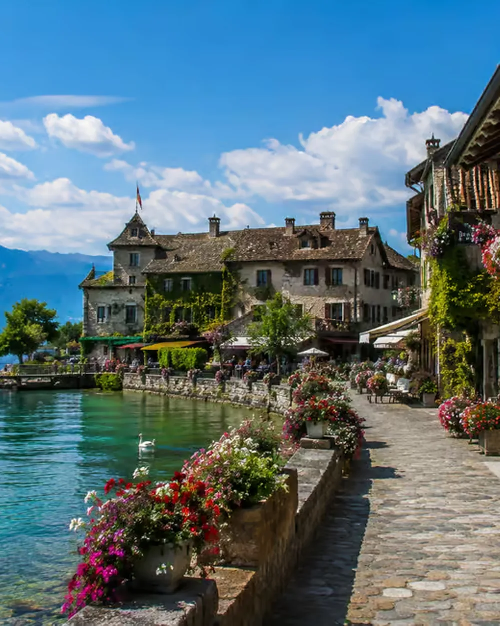 Flower-filled quay along Lake Geneva in medieval Yvoire, with stone houses, geraniums and a swan gliding on the turquoise water