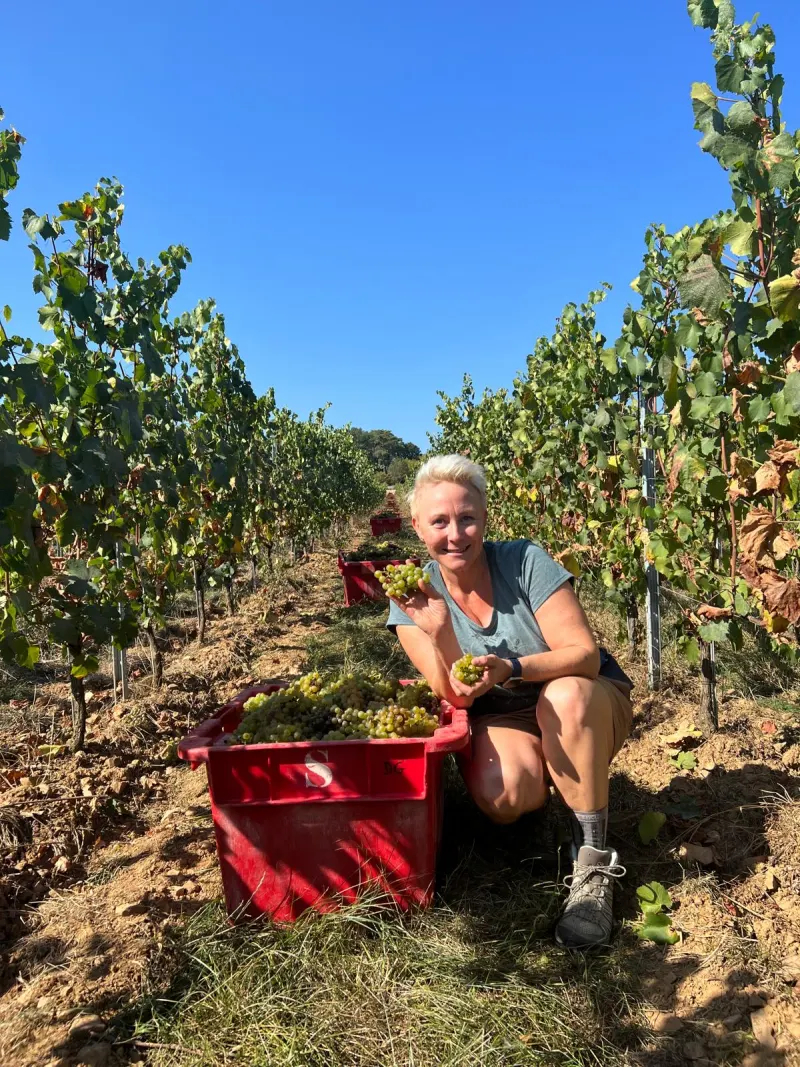 Anna Ölin, fondatrice de VinoVoyages, lors des vendanges dans un vignoble de Savoie près d'Annecy