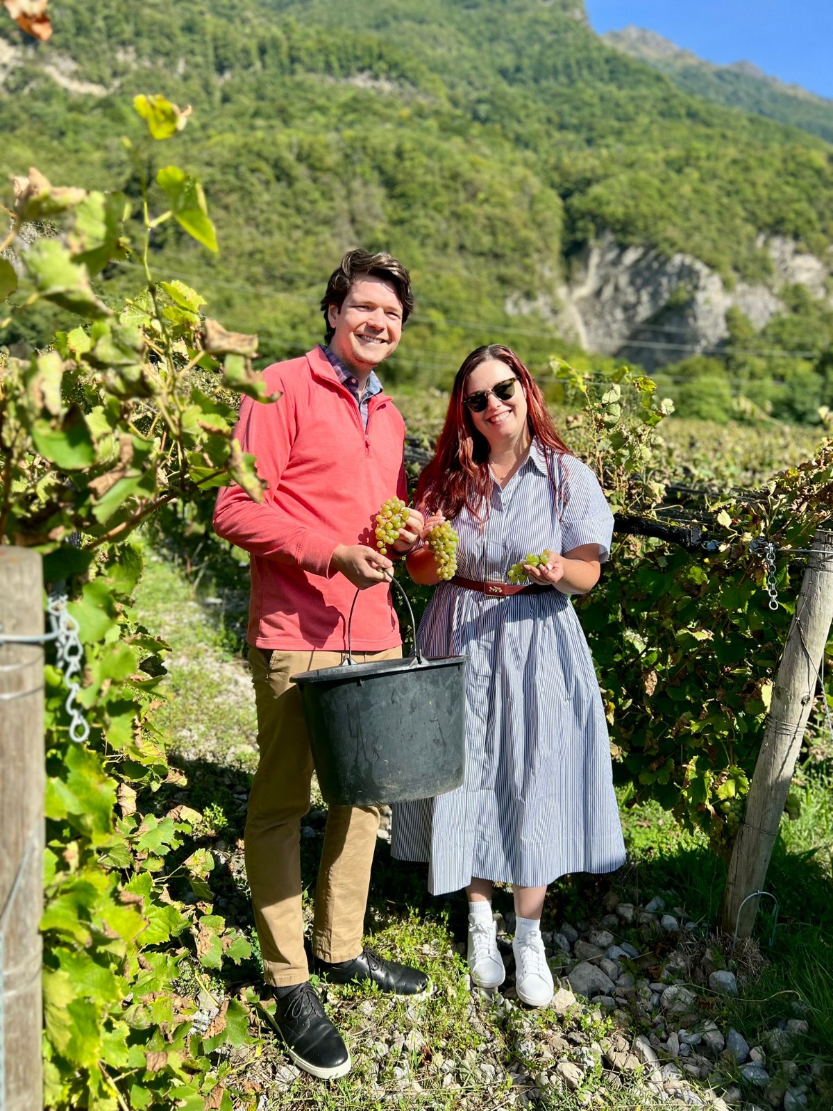 Vendangeurs récoltant à la main des grappes de raisin dans un vignoble savoyard en septembre