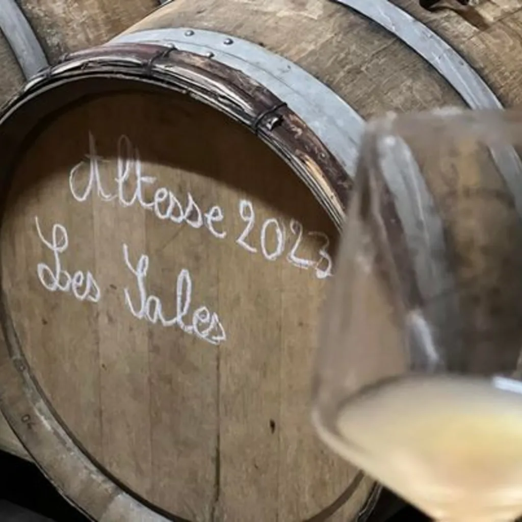 Old stone cellars & Savoyard villages